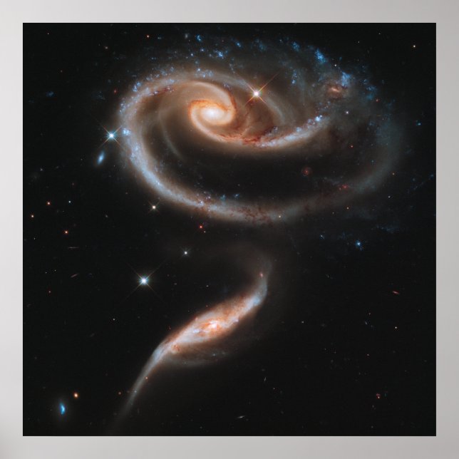 Rose Spiral Galaxies Poster (Front)