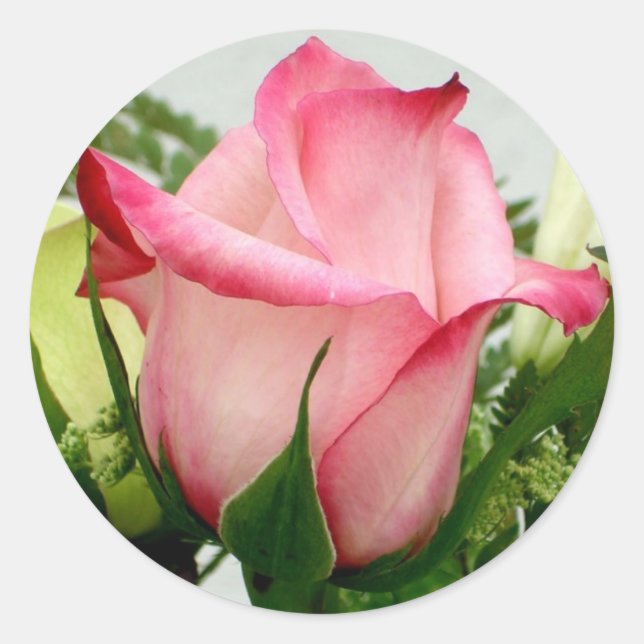 Rose Sticker (Front)