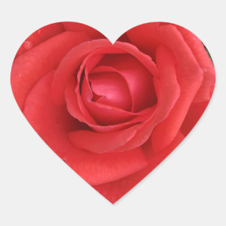 Rose Sticker
