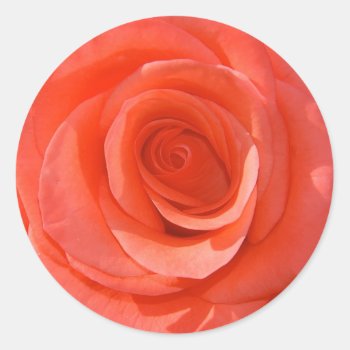 Rose Sticker by pulsDesign at Zazzle