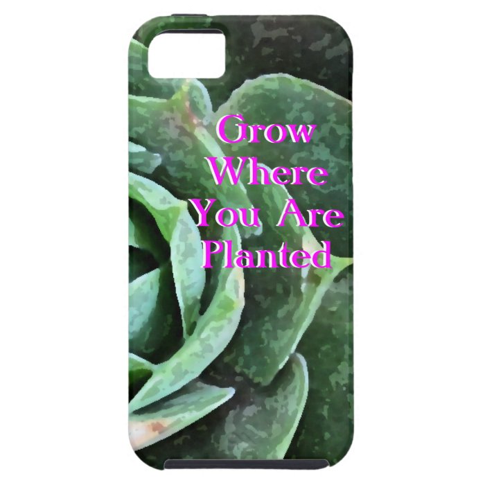Rose Succulent personalized Iphone 5 Case For iPhone 5/5S