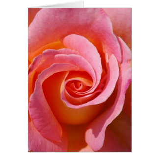 Rose Swirl Cards