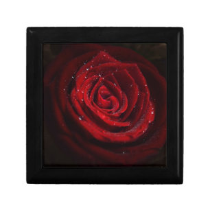 Rose Vines Heart Pattern Flower Peace Love Destiny Keepsake Box
