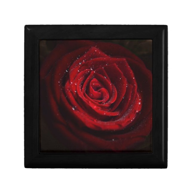 Rose Vines Heart Pattern Flower Peace Love Destiny Keepsake Box (Front)
