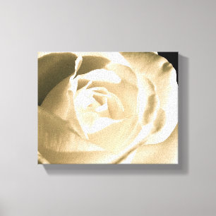 Rose White Canvas Print