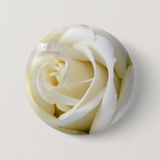 Rose White Pinback Button (Front)