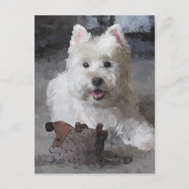 Rose With A New Toy Postcard (Front)