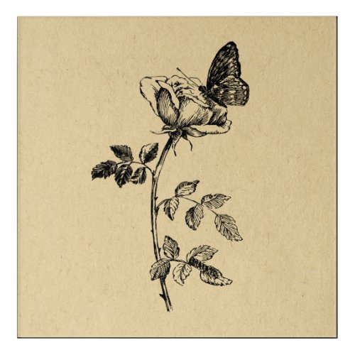 Rose with Butterfly Vintage Art