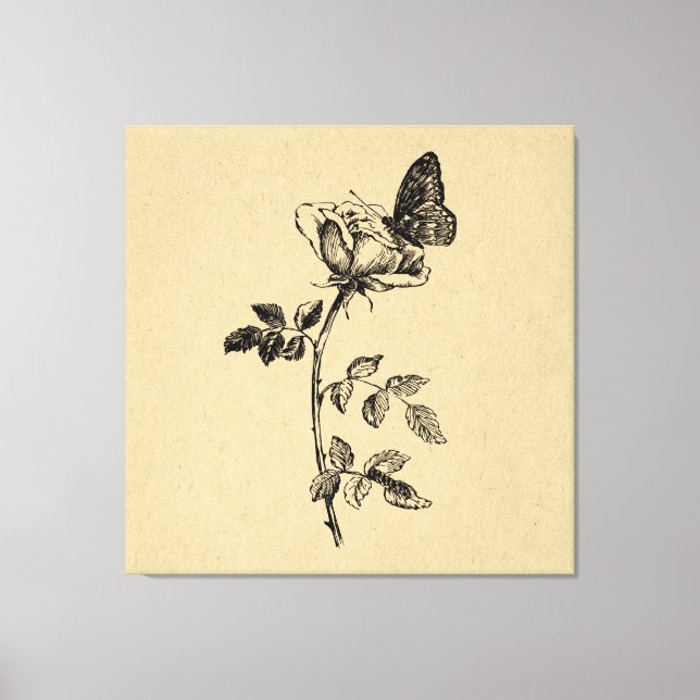 Rose with Butterfly Vintage Art Canvas Print (Front)