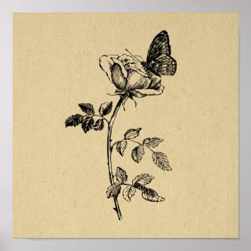 Rose with Butterfly Vintage Art Poster