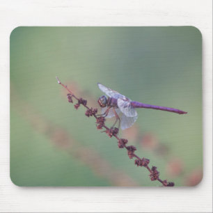 Roseate skimmer dragonfly mouse pad
