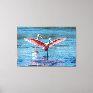 ROSEATE SPOONBILL 60 X 40 WRAPPED CANVAS PRINT