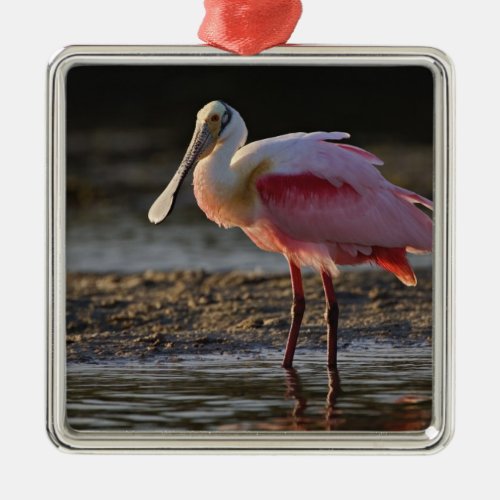 Roseate Spoonbill Ajaia ajaja Ding Darling Metal Ornament