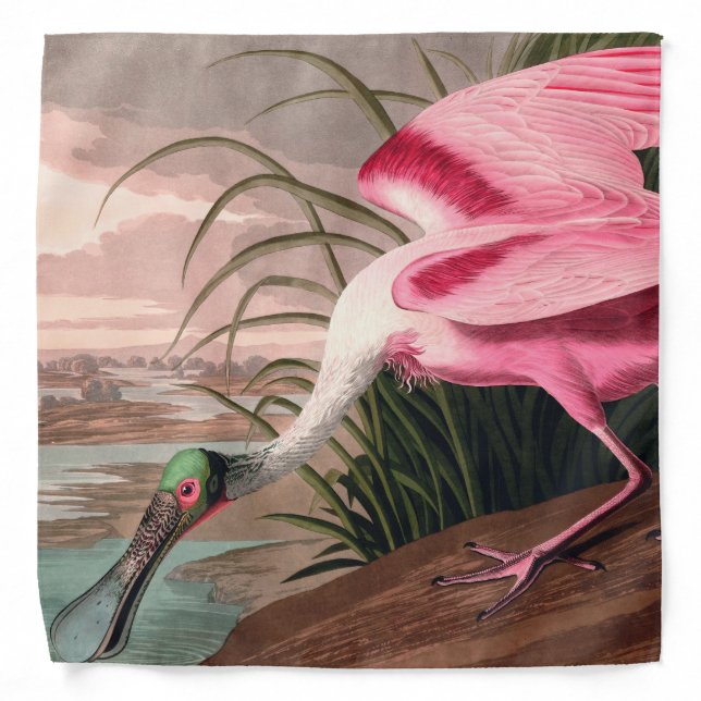 Roseate Spoonbill Audubon Bird Wildlife Bandana (Front)