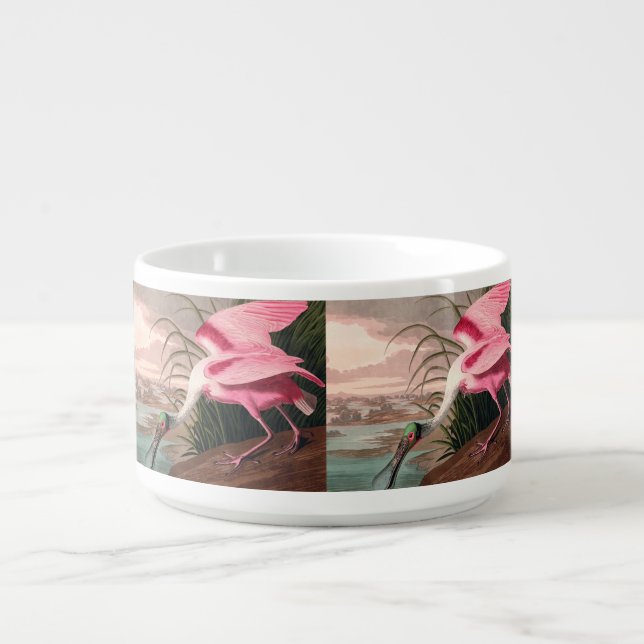 Roseate Spoonbill Audubon Bird Wildlife Bowl (Center)