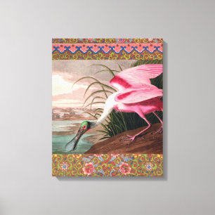 Roseate Spoonbill Audubon Bird Wildlife Canvas Print