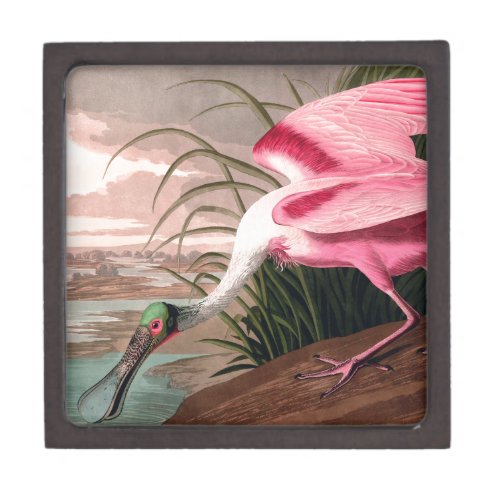 Roseate Spoonbill Audubon Bird Wildlife Jewelry Box