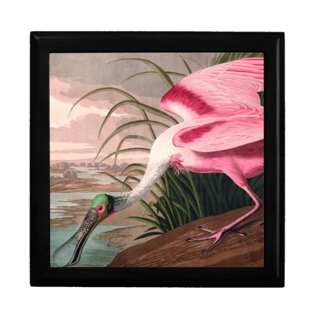 Roseate Spoonbill Audubon Bird Wildlife Keepsake Box (Front)