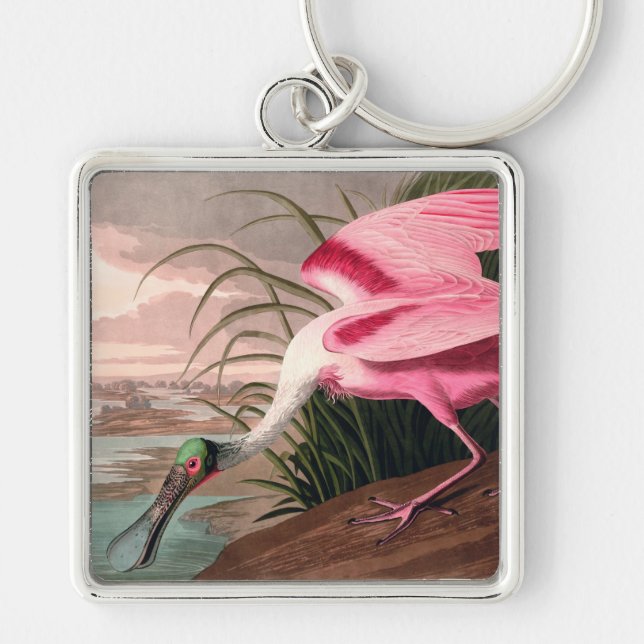 Roseate Spoonbill Audubon Bird Wildlife Keychain (Front)