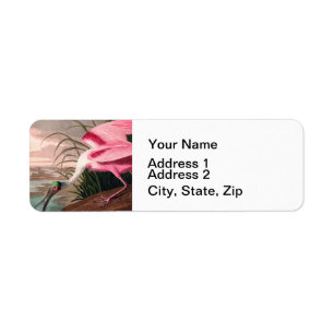 Roseate Spoonbill Audubon Bird Wildlife Label