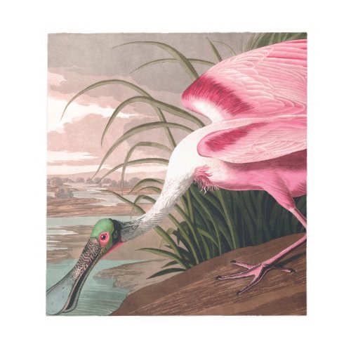 Roseate Spoonbill Audubon Bird Wildlife Notepad