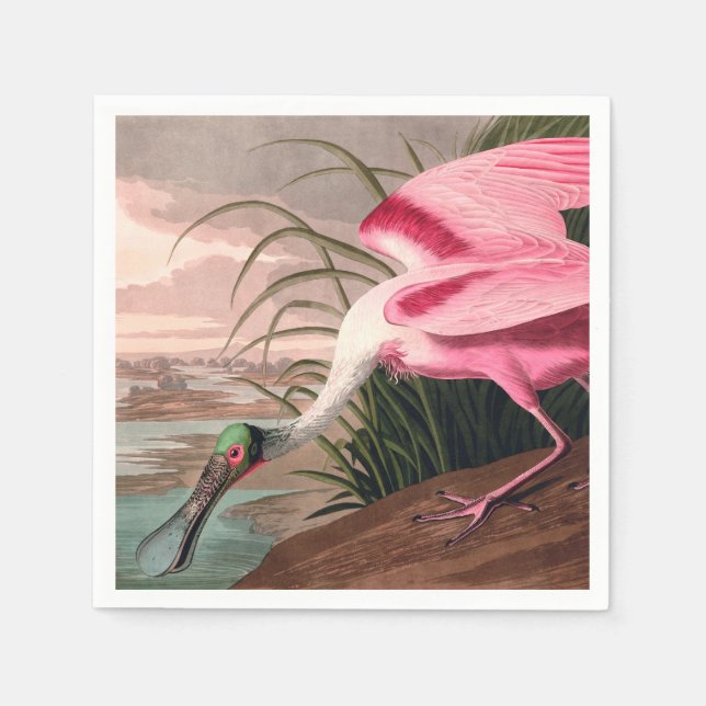 Roseate Spoonbill Audubon Bird Wildlife Paper Napkins (Front)