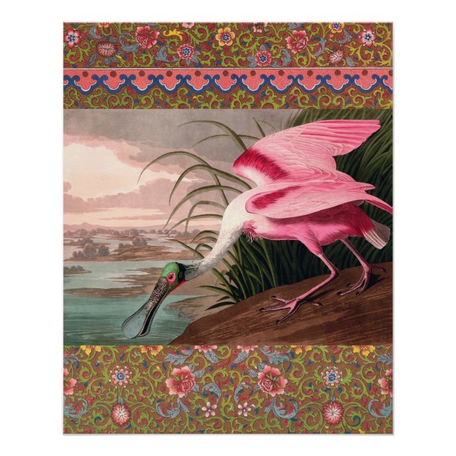 Roseate Spoonbill Audubon Bird Wildlife Poster (Front)