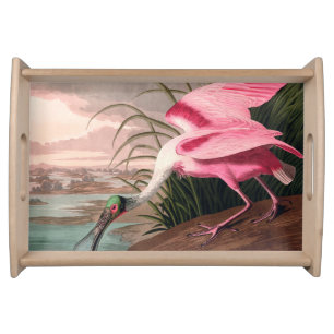 Roseate Spoonbill Audubon Bird Wildlife Serving Tray