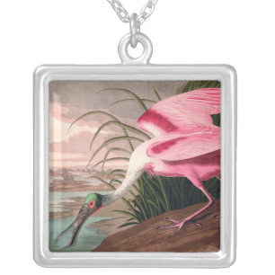 Roseate Spoonbill Audubon Bird Wildlife Silver Plated Necklace