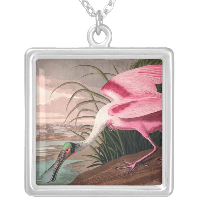 Roseate Spoonbill Audubon Bird Wildlife Silver Plated Necklace (Front)