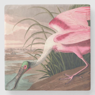 Roseate Spoonbill Audubon Bird Wildlife Stone Coaster