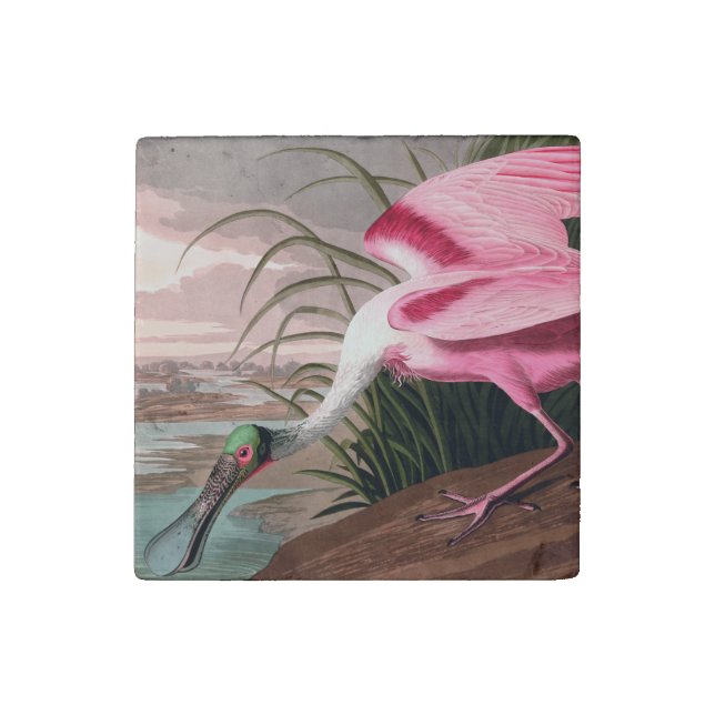 Roseate Spoonbill Audubon Bird Wildlife Stone Magnet (First Magnet)