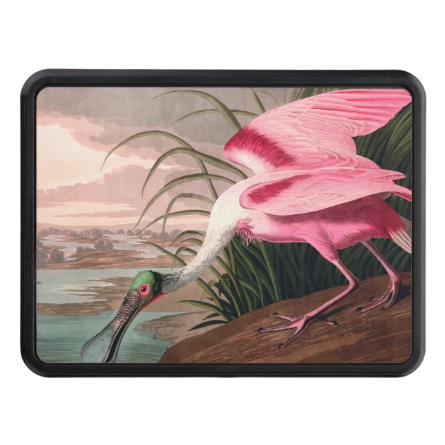 Roseate Spoonbill Audubon Bird Wildlife Tow Hitch Cover (Front)