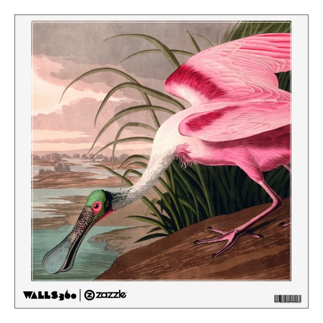 Roseate Spoonbill Audubon Bird Wildlife Wall Sticker (Front)