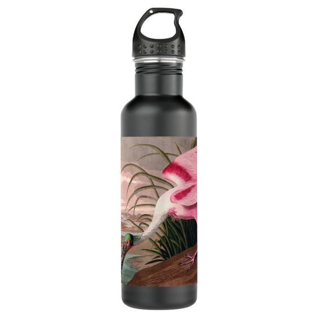 Roseate Spoonbill Audubon Bird Wildlife Water Bottle (Front)