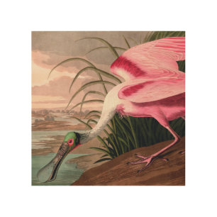 Roseate Spoonbill Audubon Bird Wildlife Wood Wall Art