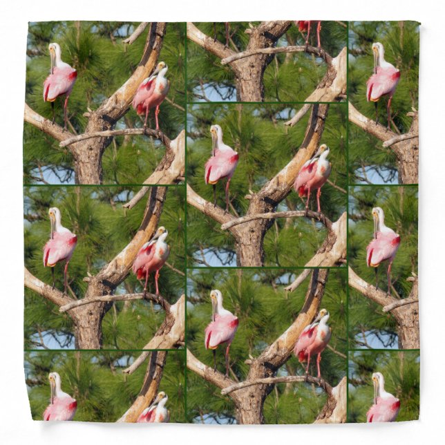 Roseate Spoonbill - Bandana - Tld (Front)