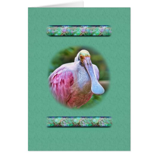 Roseate Spoonbill Bird Card (Front)