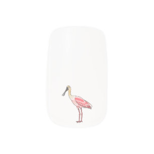 Roseate spoonbill bird cartoon illustration minx nail art