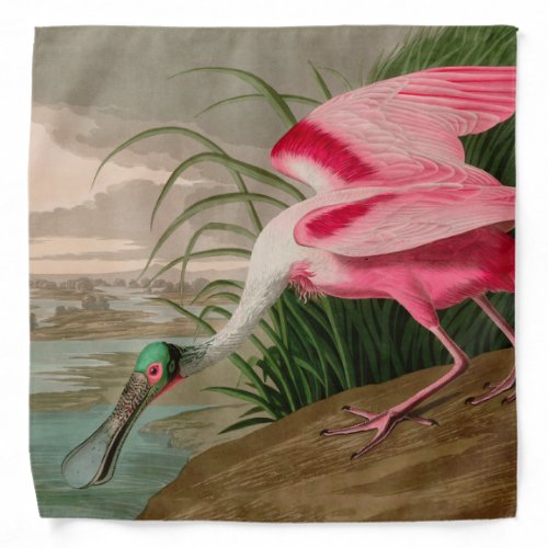 Roseate Spoonbill Birds of America Audubon Print Bandana