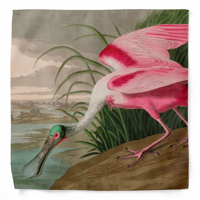 Roseate Spoonbill Birds of America Audubon Print Bandana (Front)