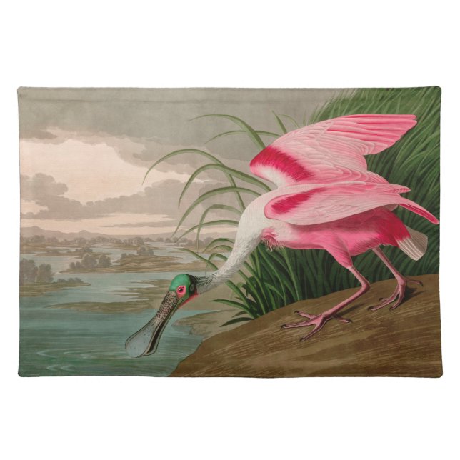 Roseate Spoonbill Birds of America Audubon Print Cloth Placemat (Front)