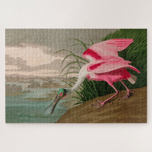 Roseate Spoonbill Birds of America Audubon Print Jigsaw Puzzle (Horizontal)