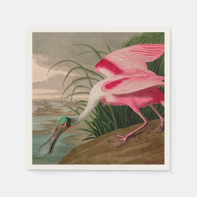 Roseate Spoonbill Birds of America Audubon Print Napkins (Front)