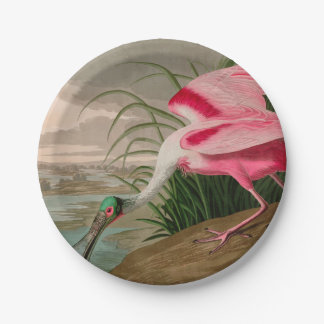 Roseate Spoonbill Birds of America Audubon Print Paper Plates