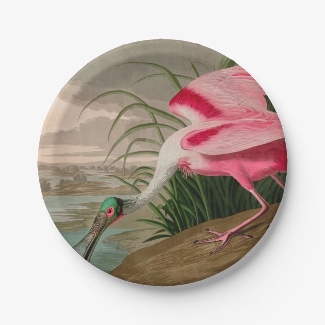 Roseate Spoonbill Birds of America Audubon Print Paper Plates (Front)