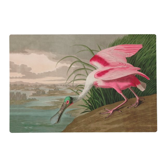 Roseate Spoonbill Birds of America Audubon Print Placemat (Front)
