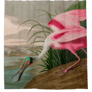 Roseate Spoonbill Birds of America Audubon Print Shower Curtain
