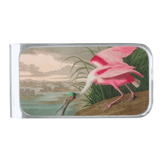 Roseate Spoonbill Birds of America Audubon Print Silver Finish Money Clip (Front)