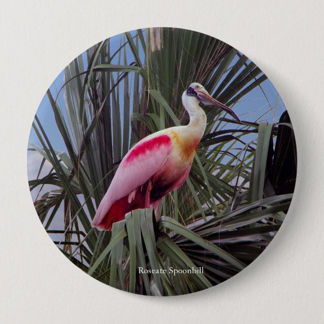 Roseate Spoonbill button (Front)